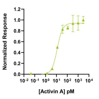 Human Activin Qk001 protein bioactivity lot #011