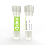 Qk005 Activin A PLUS (human) Qkine protein vial