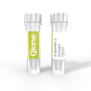 Qk032 R-spondin 3 (human) Qkine protein vial