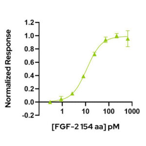 FGF-2 154 aa Bioactivity graph