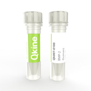 Qk007 BMP2 (human) Qkine protein vial