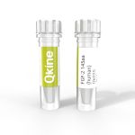 Qk025 FGF2 / bFGF (human) Qkine protein vial