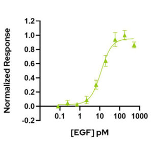 EGF Bioactivity graph (Qk011)