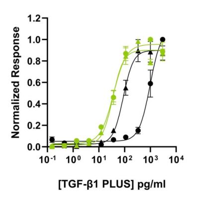 Qk010-TGF-b1-PLUS_bioactivity-comparison_lot011-012-other-suppliers