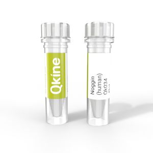 Qk034-Noggin-human-qkine-vial