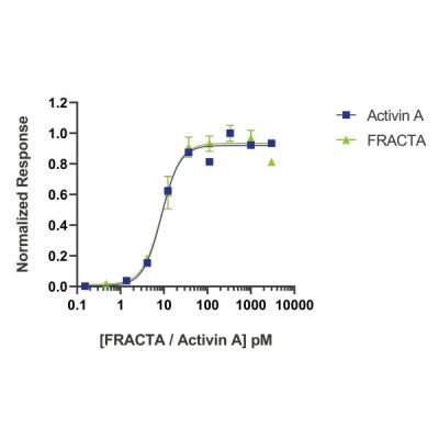 follistatin resistant activin A Qk035 protein bioactivity lot #104287