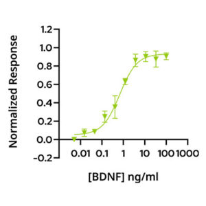 Qkine BDNF bioassay