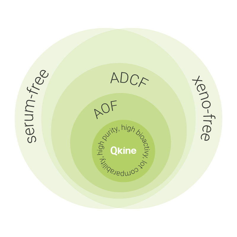 Animal-free and xeno-free growth factors for stem cell media