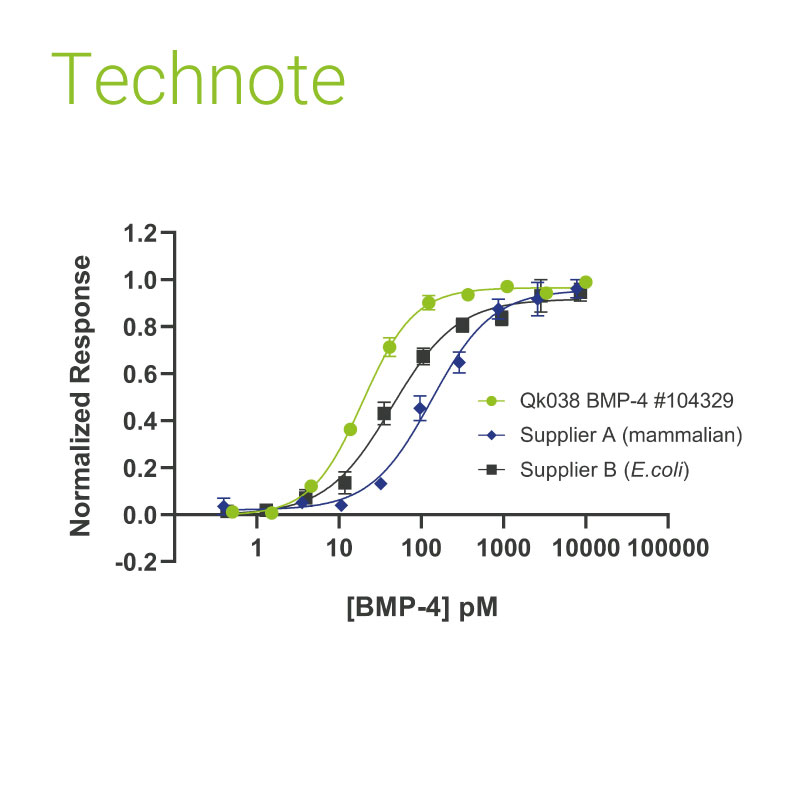 BMP4 comparison with other suppliers: Qkine BMP4 is more potent