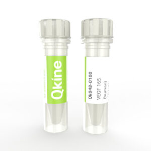 Qkine recombinant human VEGF 165 protein vial