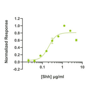 sonic hedgehog protein bioactivity lot 104376