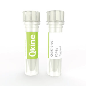 Qkine recombinant human FGF-8b protein vial