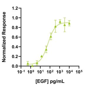 Qk064 pEGF_bioactivity_lot 204515