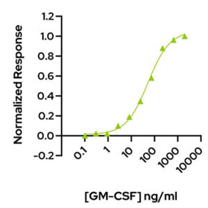 GM-CSF-bioassay Qkine Qk076