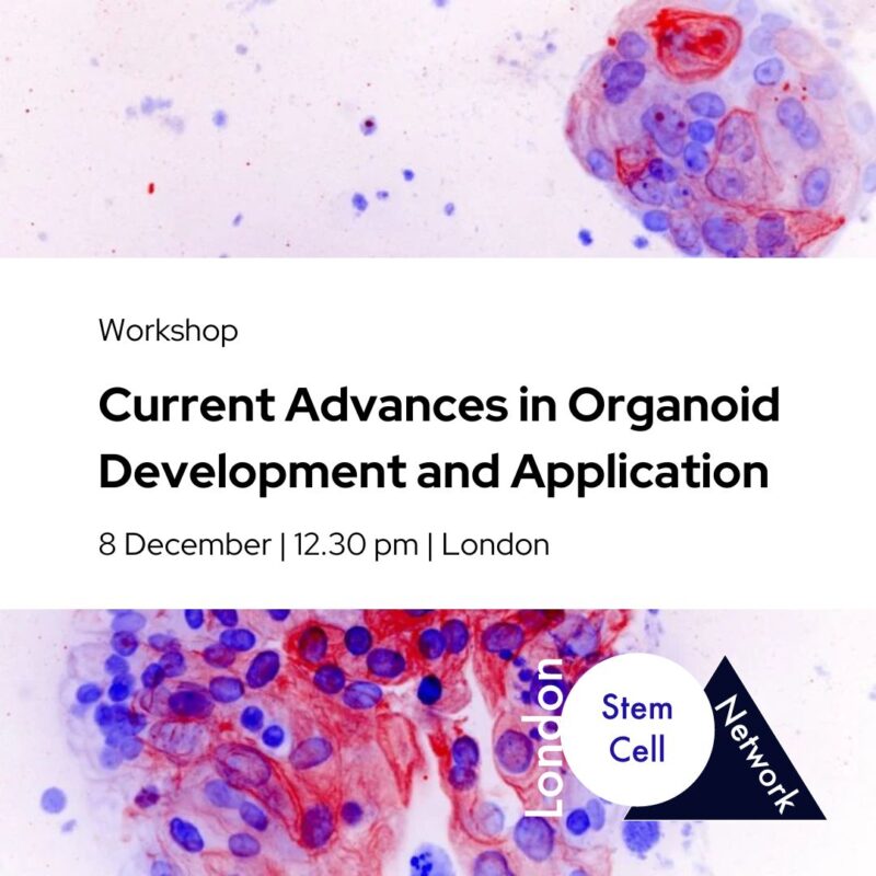 London Stem Cell Network Workshop