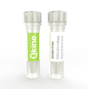 Qkine recombinant bovine/porcine FGF2-G3 145 aa protein vial