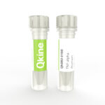 Qkine recombinant TNF-α protein vial