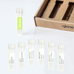 FGF-2 species-specific discovery kit Qk501