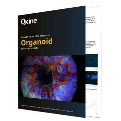 Qkine Organoids Brochure