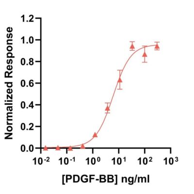 Qk079 bPDGF-BB-FG bioactivity lot 204670