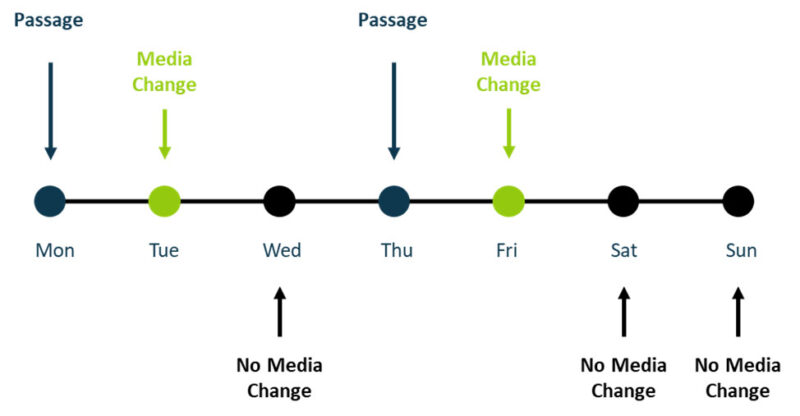 Weekly schedule for routine maintenance of iPSC