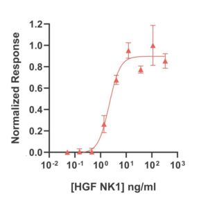 Bioactivity of Bovine hepatocyte growth factor (Qk060-FG)