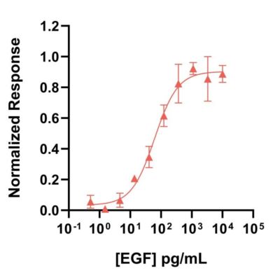 Qk064 pEGF_bioactivity_lot 204515