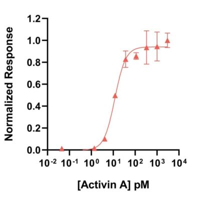 Human Activin Qk001 protein bioactivity lot #011