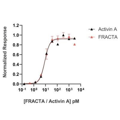 follistatin resistant activin A Qk035 protein bioactivity lot #104287