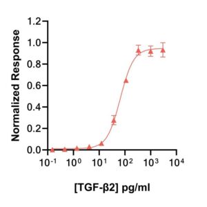 Qk112-FG bovine porcine TGF-beta 2 bioactivity