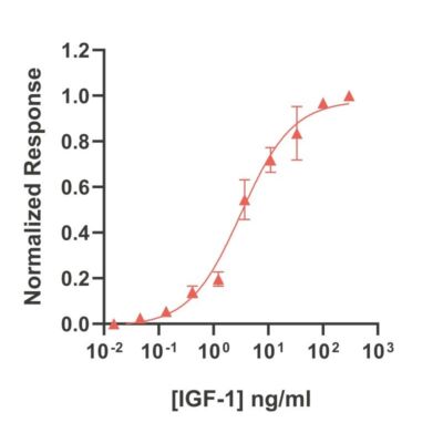 Human LIF Qk036 protein bioactivity lot #14293