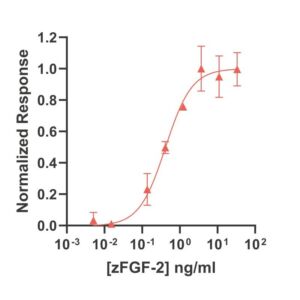 Qk116-FG zebrafish FGF-2 bioactivity