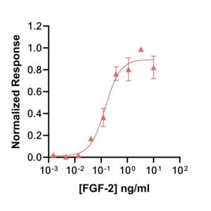 Qk107-FG eel FGF-2 145 aa bioactivity