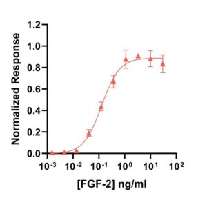 Qk107 eel FGF-2 154 aa bioactivity