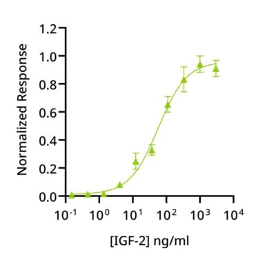 Human LIF Qk036 protein bioactivity lot #14293