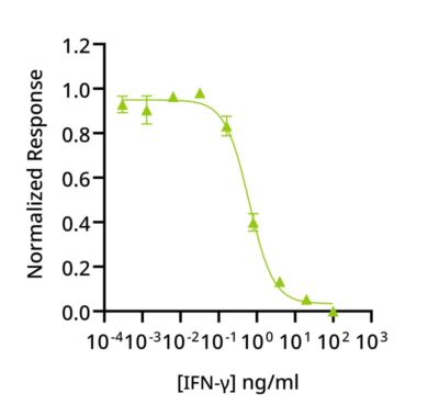 Human LIF Qk036 protein bioactivity lot #14293