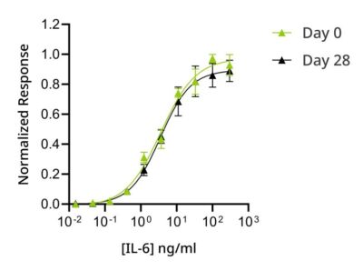 IL-6 day 28 bioactivity