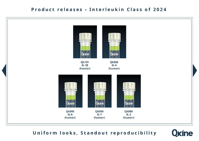 Interleukin proteins released 2024