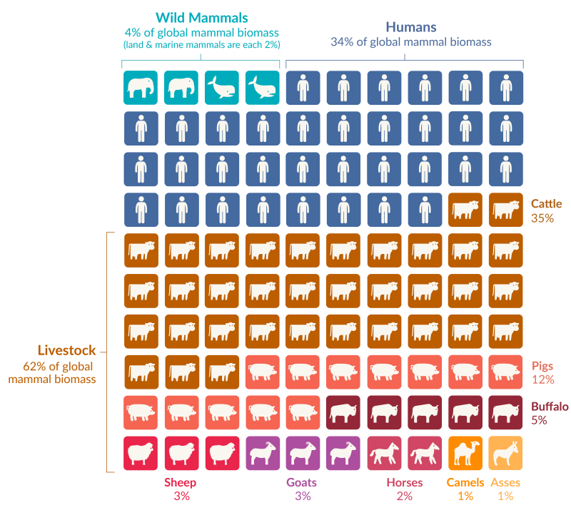 Representation of world mammal biomass