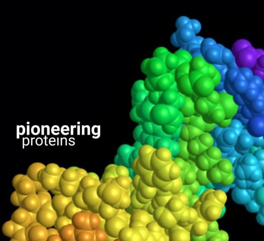 Pioneering-proteins-image-