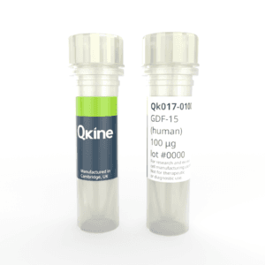 Qk017 GDF-15 vial image