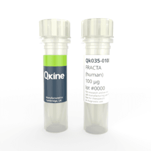 Recombinant human follistatin-resistant activin A (FRACTA) protein (Qk035)