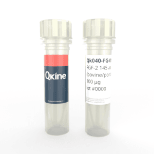 Qk040-FG FGF-2 vial image