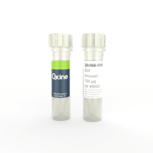 Qk066 mouse EGF vial image