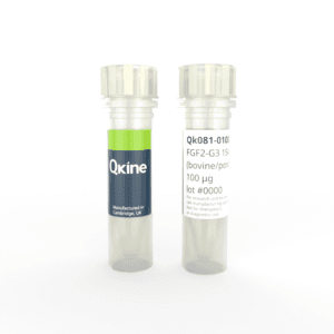 Qk081 bpFGF2-G3 vial image