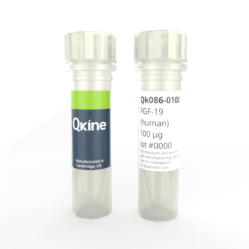 Qk086 FGF-19 vial image