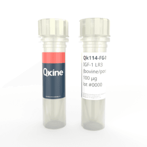 Recombinant bovine/porcine IGF-1 LR3 protein (Qk114-FG)