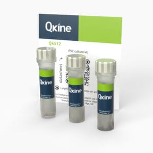 iPSC culture kit (Qk512)