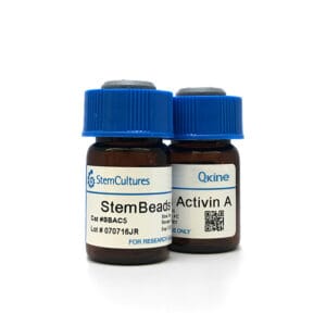 StemBeads® Qkine activin A