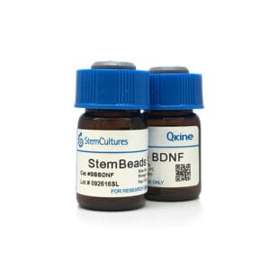 StemBeads® Qkine BDNF